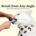 Load image into Gallery viewer, Dog Toothbrush Kit
