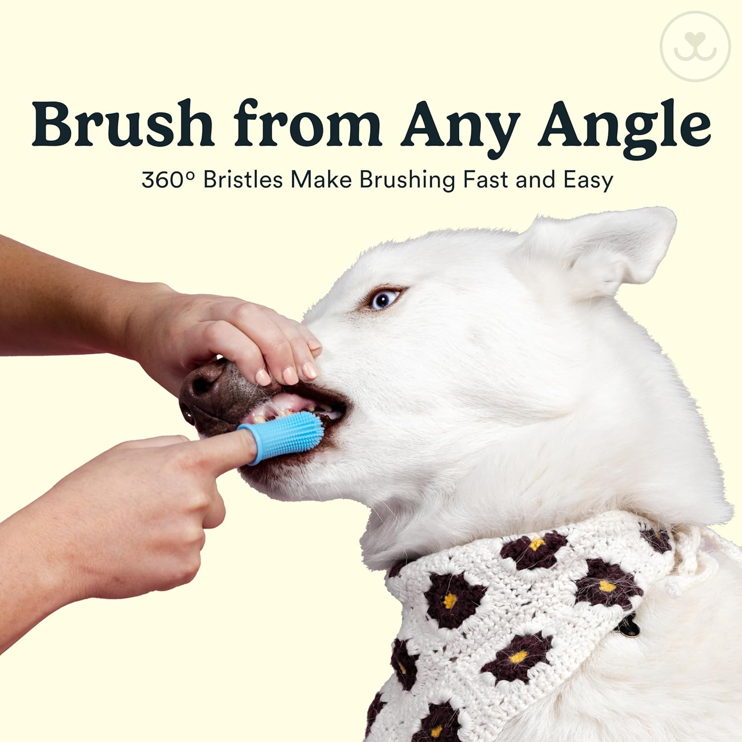 Dog Toothbrush Kit