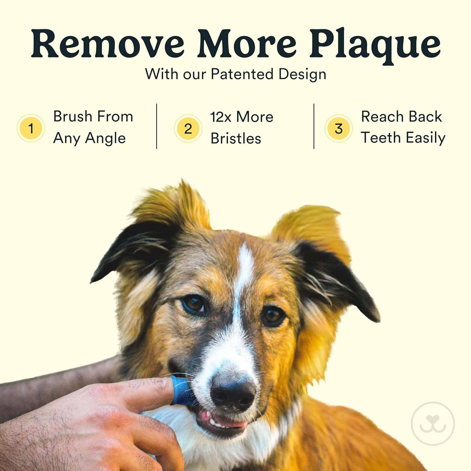 Dog Toothbrush Kit